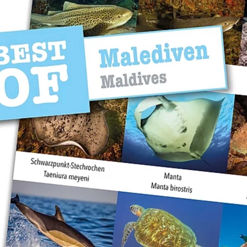 DIVE-Sticker Malediven