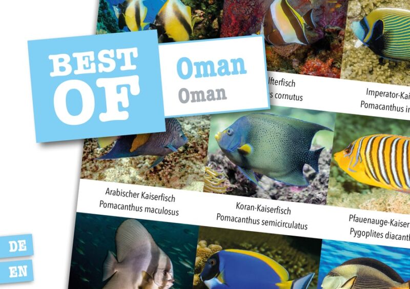 DIVE-Sticker Oman