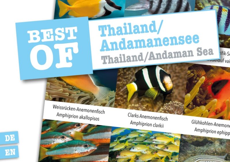 DIVE-Sticker Thailand/Andamanensee