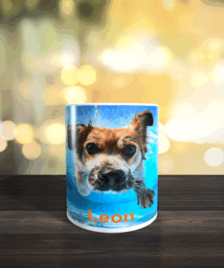 TASSE Hundeschwimmen